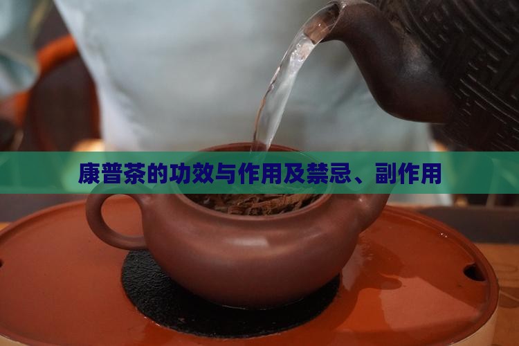 康普茶的功效与作用