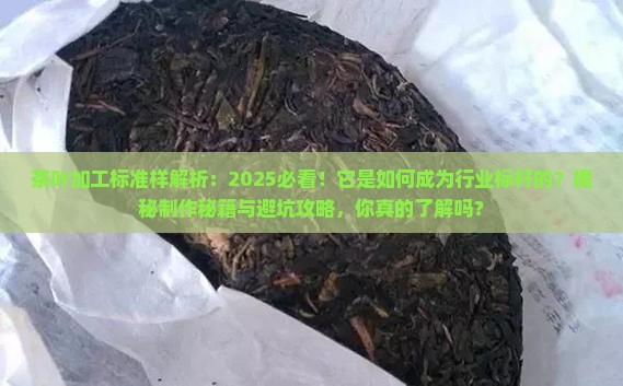 茶叶加工标准样是以什么为基础 茶叶加工标准样是以什么为基础