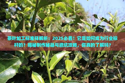 茶叶加工标准样是以什么为基础 茶叶加工标准样是以什么为基础