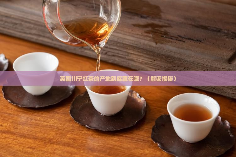 英国川宁红茶的产地