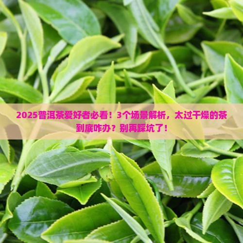 普洱茶太过干燥