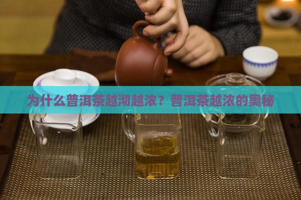 普洱茶越沏越浓