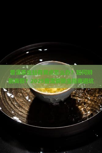 普洱茶虫蛀有黄点