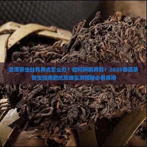 普洱茶虫蛀有黄点
