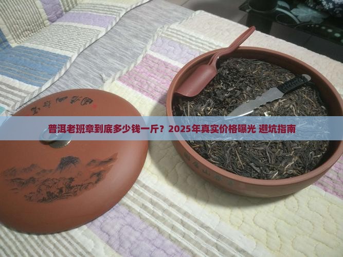 普耳老班章大概多少钱一斤