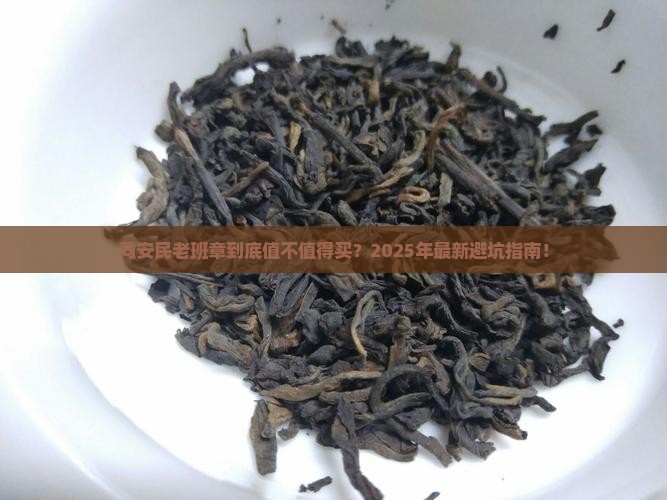 马安民老班章原文