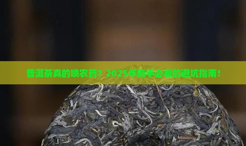 普洱茶喷农药吗