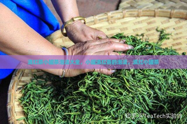 滇红茶小罐茶泡法