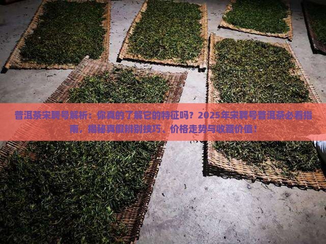 普洱茶宋聘号特征
