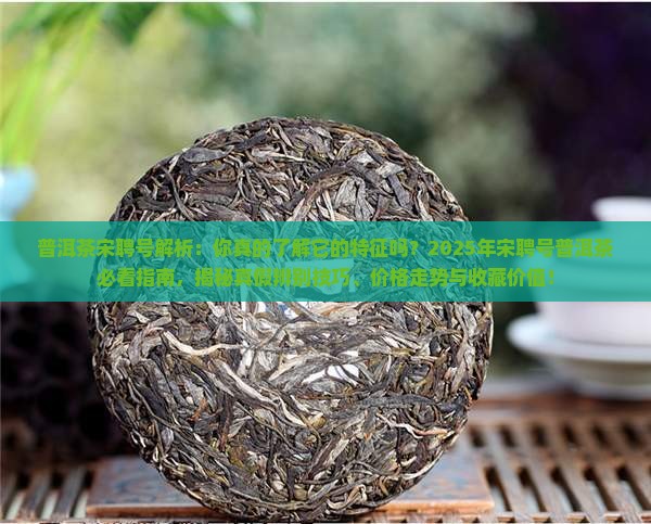 普洱茶宋聘号特征