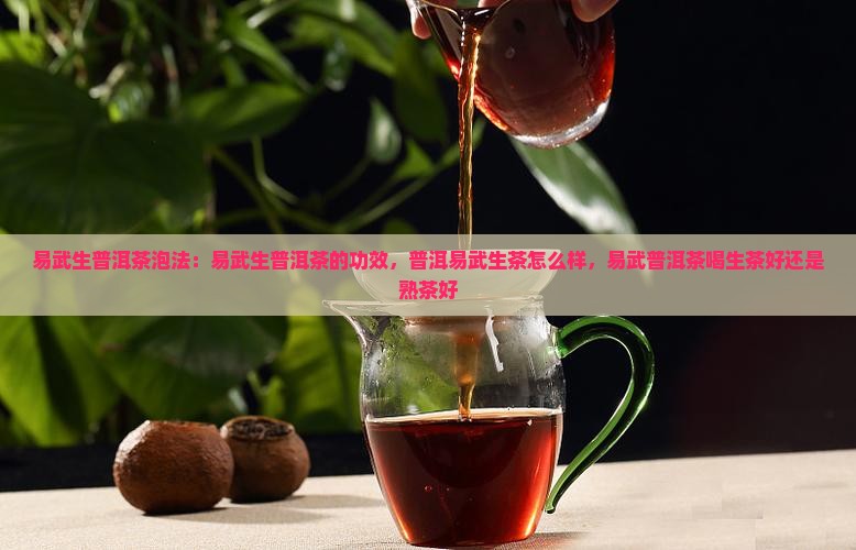 易武生普洱茶泡法