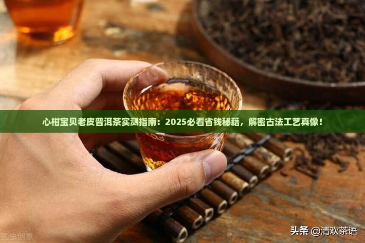 心柑宝贝老皮普洱茶
