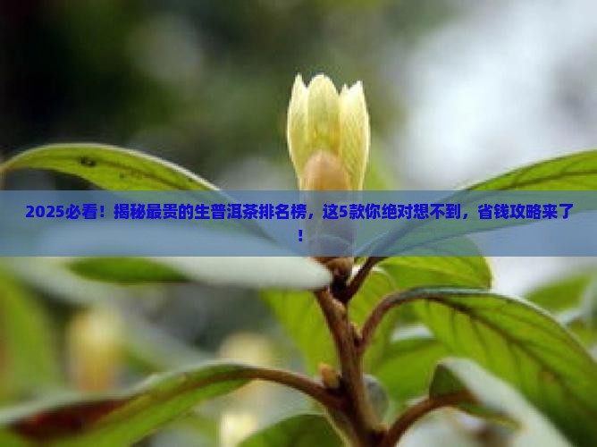最贵的生普洱茶排名榜