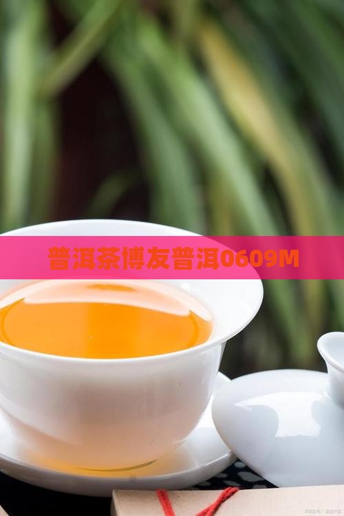 普洱茶博友0609M