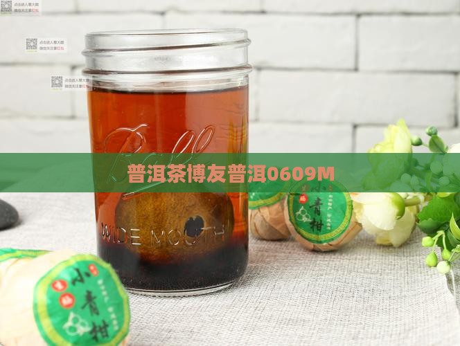 普洱茶博友0609M