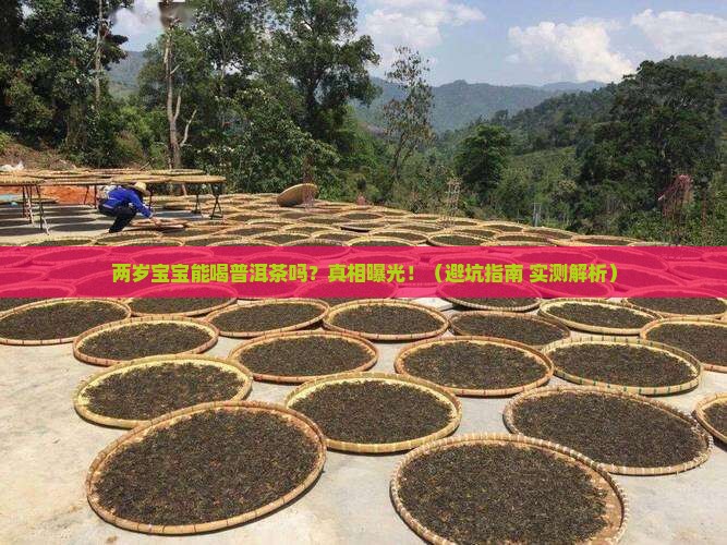 两岁宝宝能喝普洱茶吗