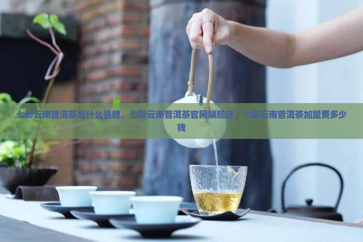 七彩云南普洱茶是什么品牌