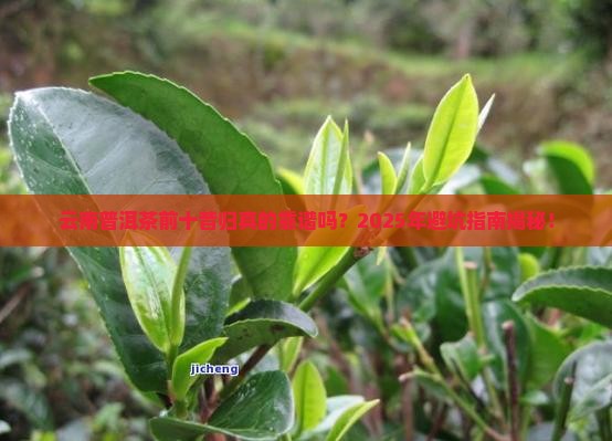 云南普洱茶前十昔归