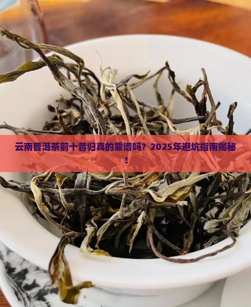 云南普洱茶前十昔归