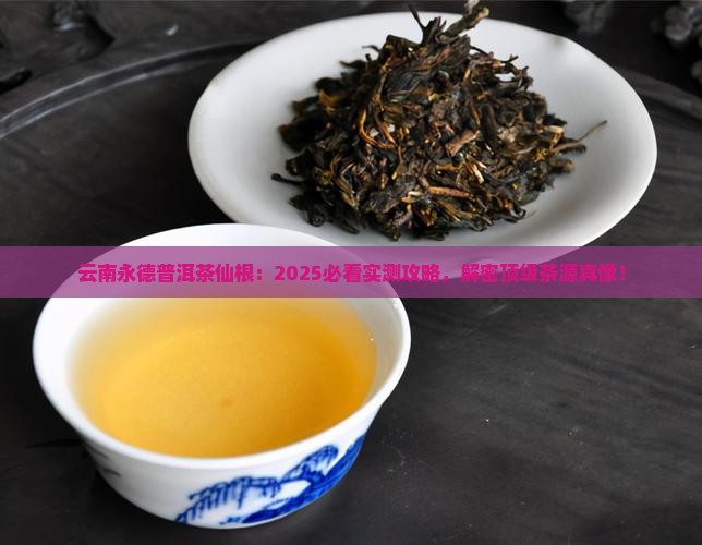 云南永德普洱茶仙根
