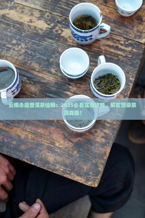 云南永德普洱茶仙根