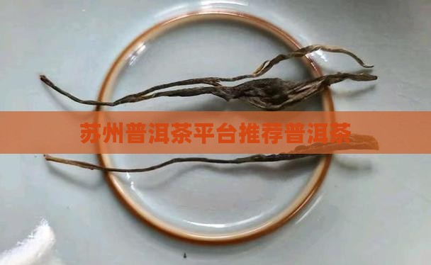 苏州普洱茶干平台推荐