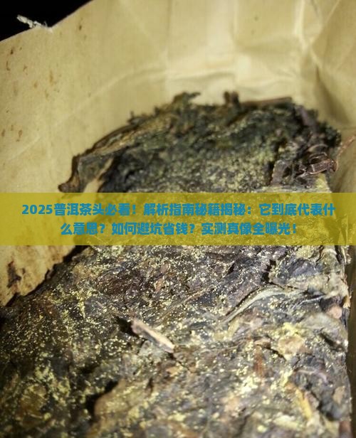 普洱茶头代表什么意思啊