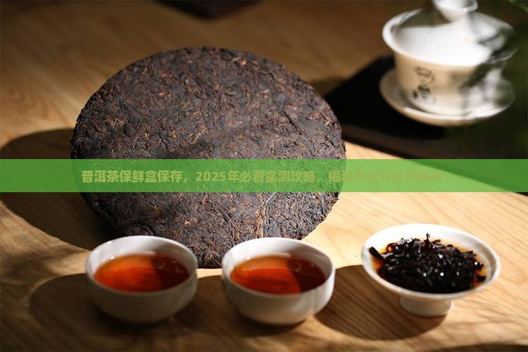 普洱茶保鲜盒保存