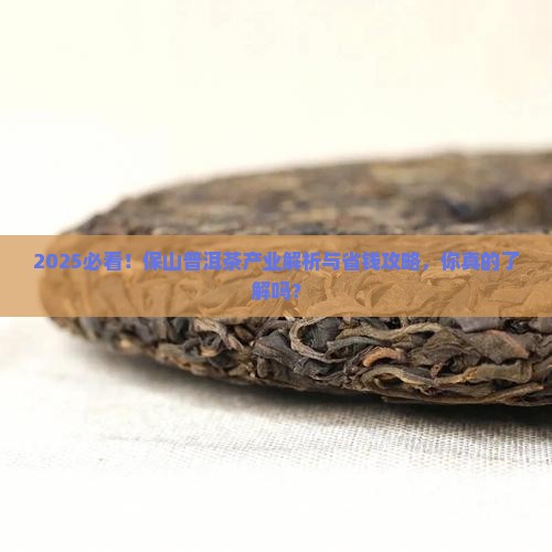 保山普洱茶产业