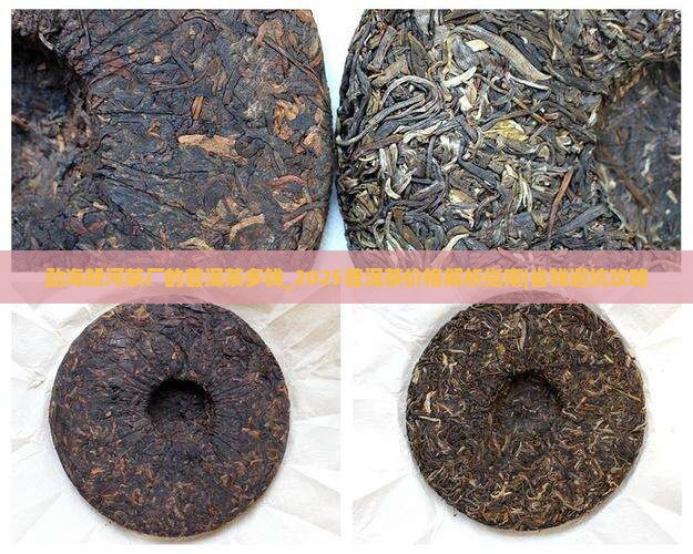 勐海朗河茶厂的普洱茶多钱