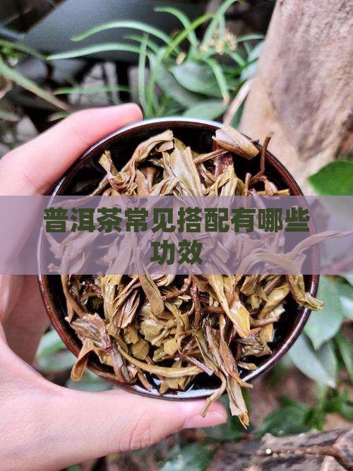 普洱茶常见搭配有哪些功效