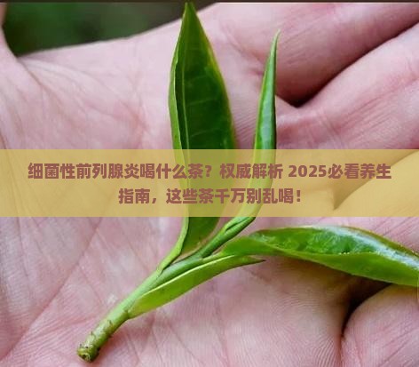细菌性前列腺炎喝什么茶