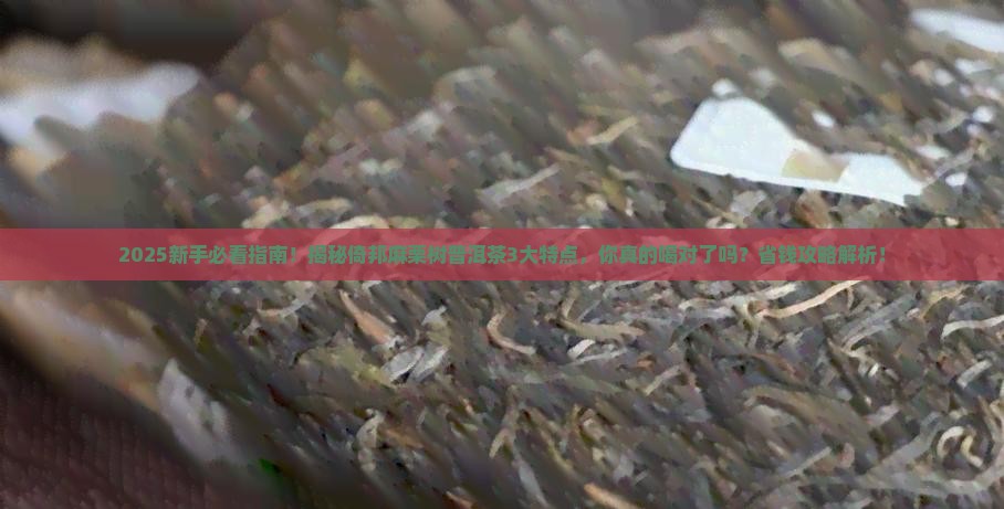 倚邦麻栗树普洱茶特点