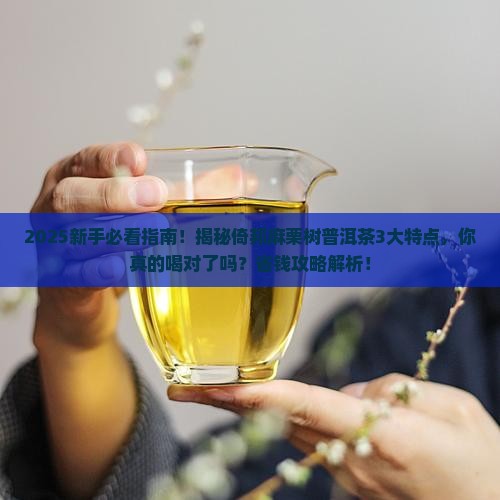 倚邦麻栗树普洱茶特点