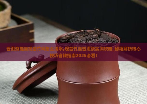 普洱茶能浇观音竹吗怎么浇水