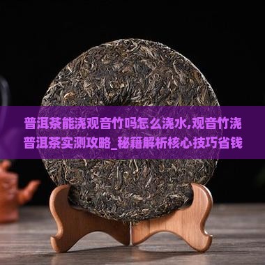 普洱茶能浇观音竹吗怎么浇水