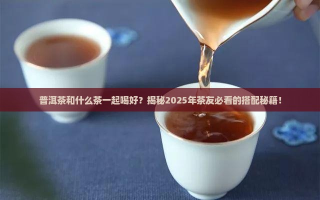 普洱茶和什么茶一起喝好
