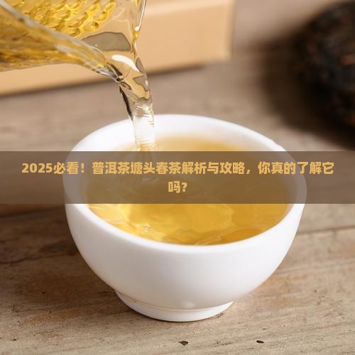 普洱茶塘头春茶