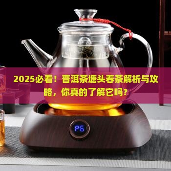 普洱茶塘头春茶