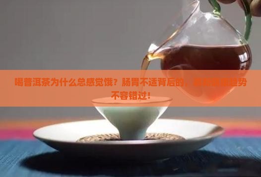 喝普洱茶有饥饿感