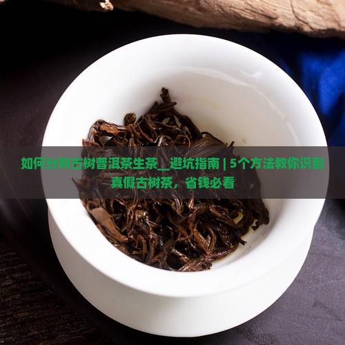 如何分辨古树普洱茶生茶