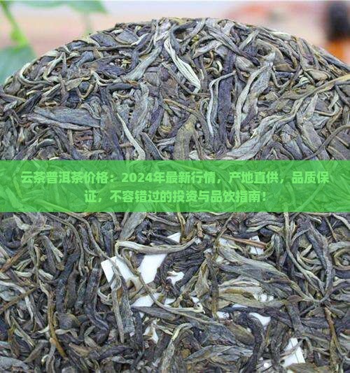 云茶普洱茶价格