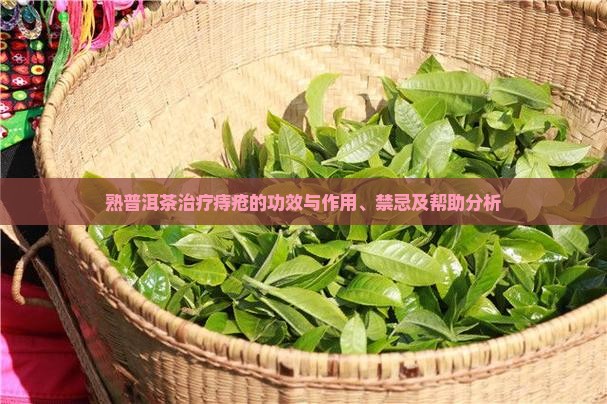 熟普洱茶治疗痔疮的功效