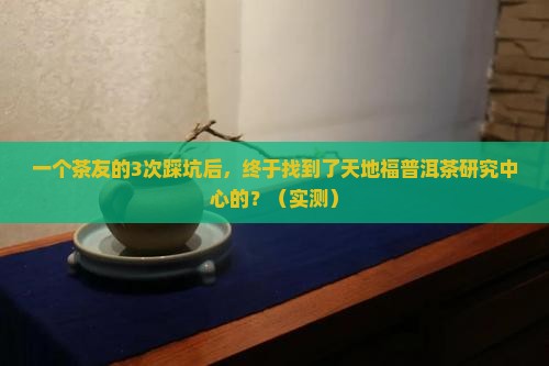 天地福普洱茶研究中心