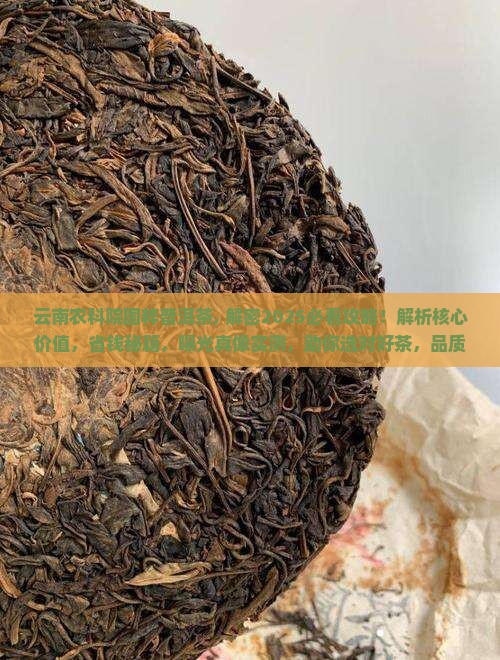云南农科院国粹普洱茶