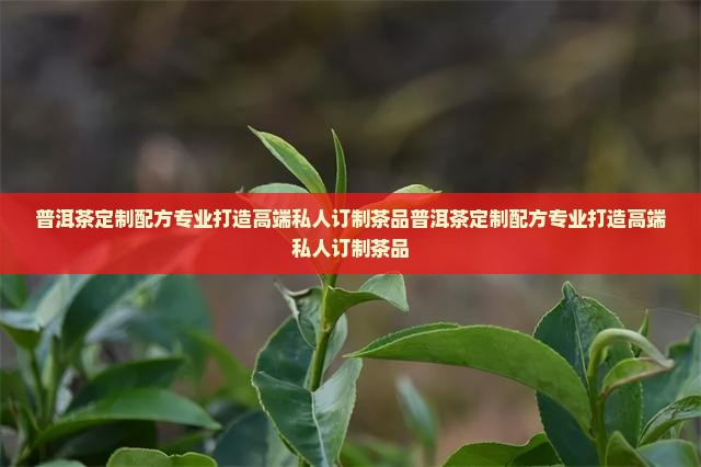 普洱茶定制配方