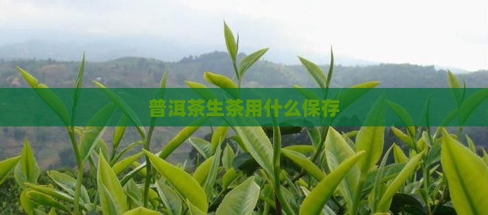 普洱茶生茶用什么保存