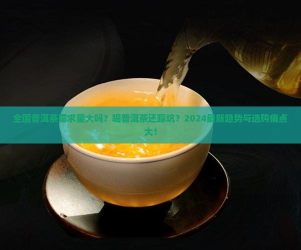 全国普洱茶需求量大吗多少