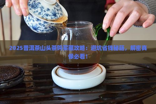 普洱茶山头茶购买藏