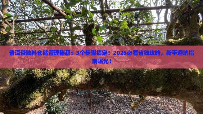 普洱茶散料仓储管理系统